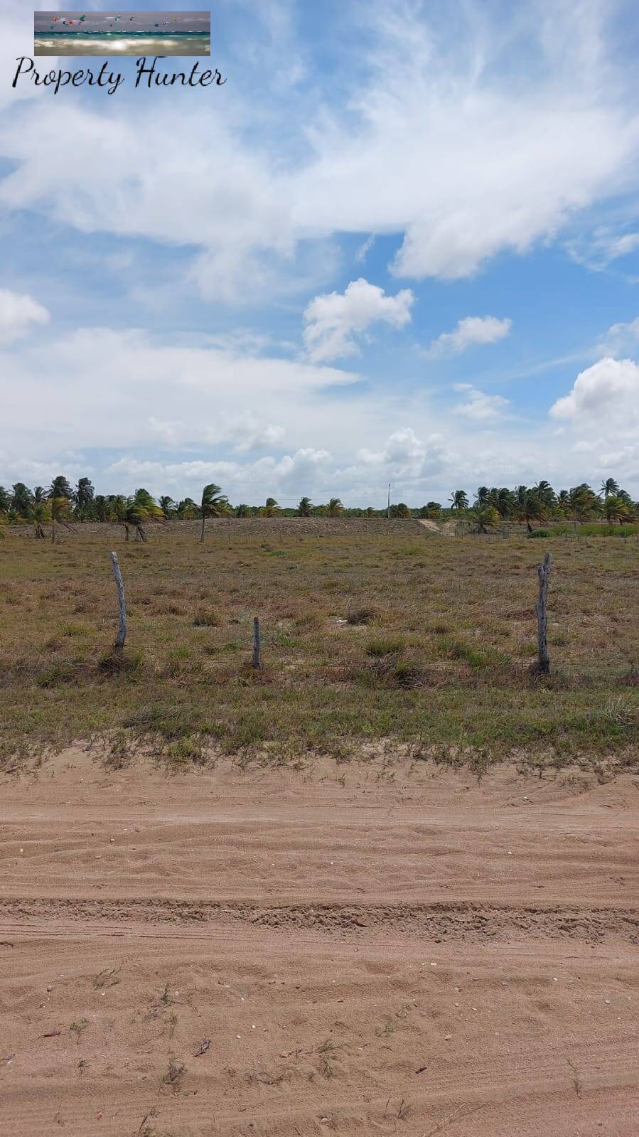 Terreno à venda, 3500m² - Foto 11