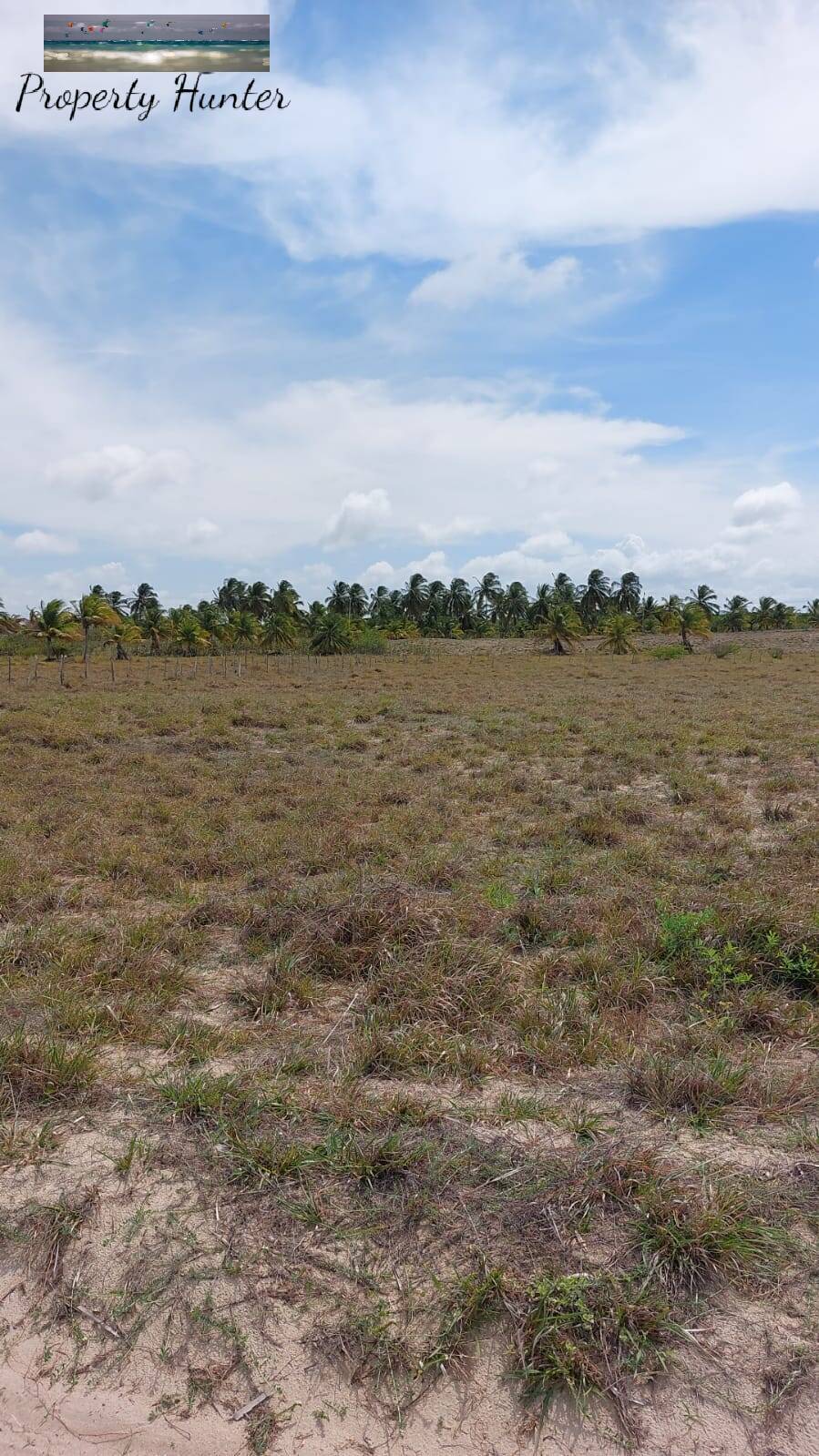 Terreno à venda, 3500m² - Foto 12