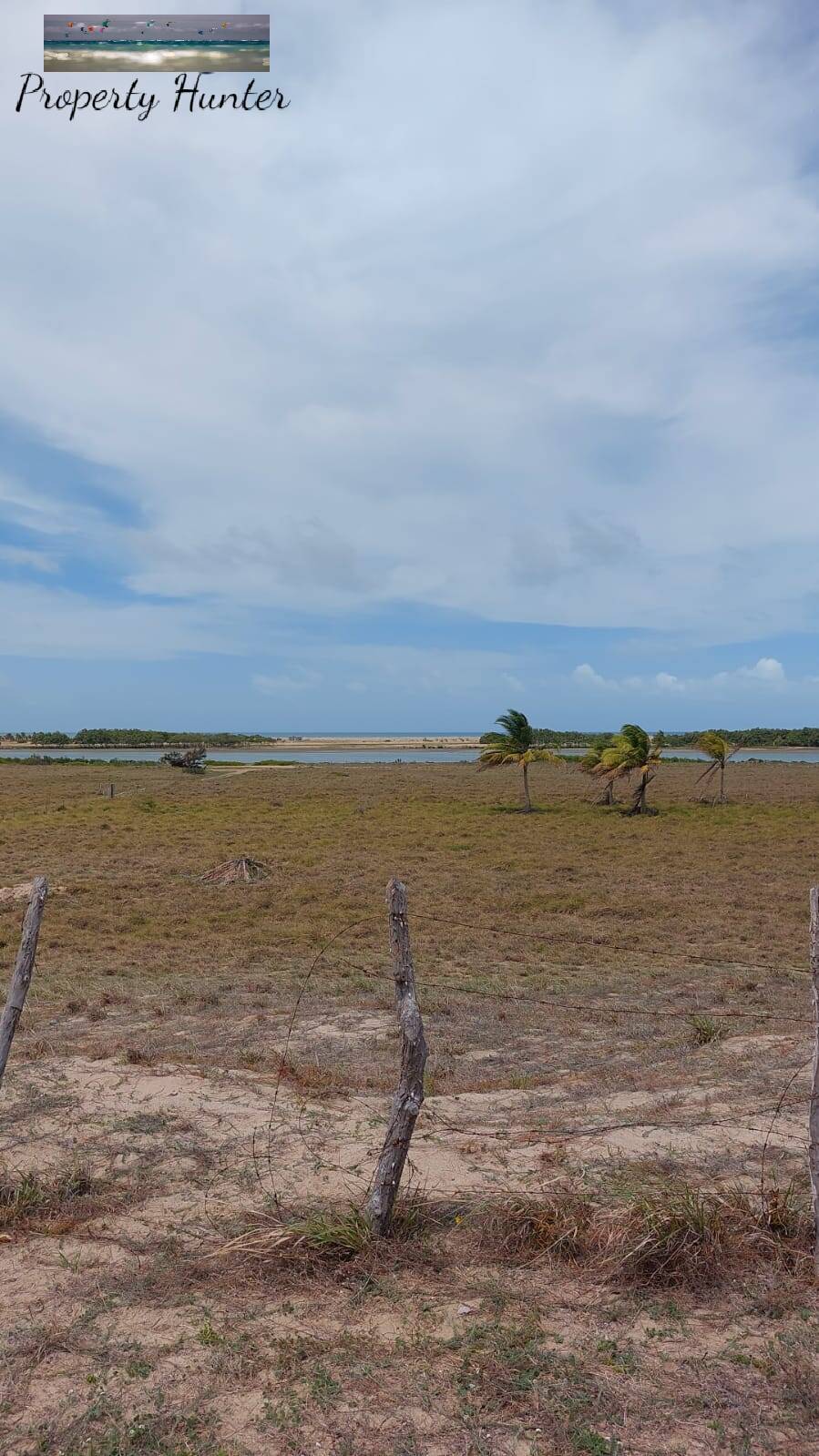 Terreno à venda, 3500m² - Foto 15