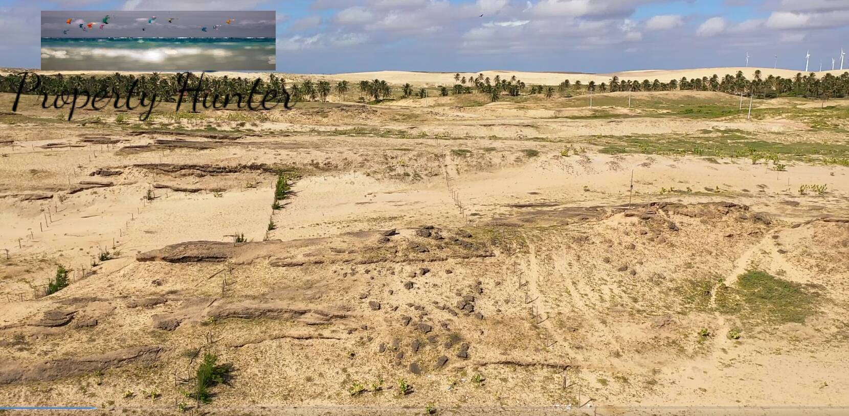 Terreno à venda, 4800m² - Foto 7